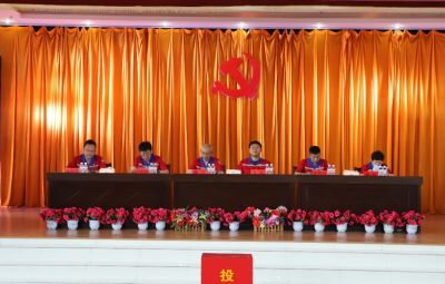 尊龙中国官方网站党委换届选举党员大会胜利召开
